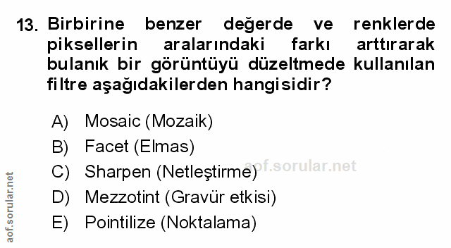 Soru 13