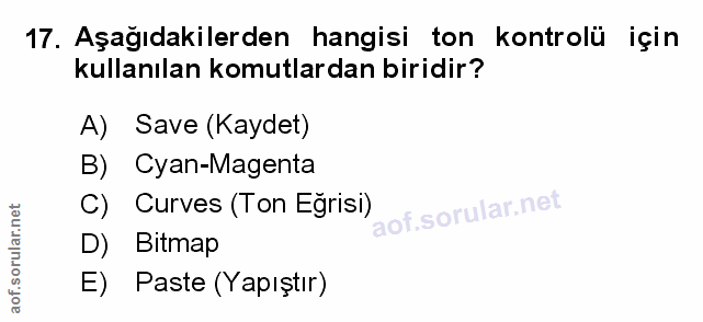 Soru 17
