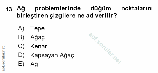 Soru 13