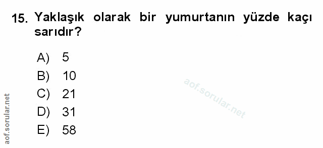 Soru 15