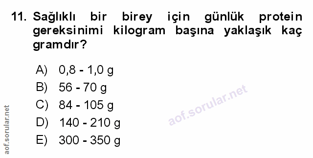 Soru 11