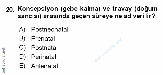 Soru 20