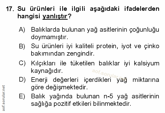 Soru 17