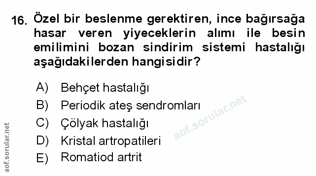 Soru 16