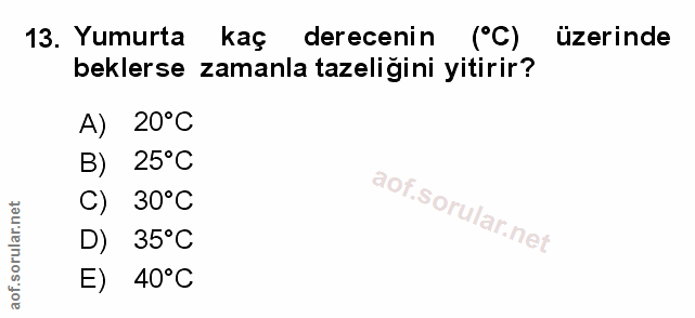 Soru 13