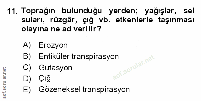 Soru 11