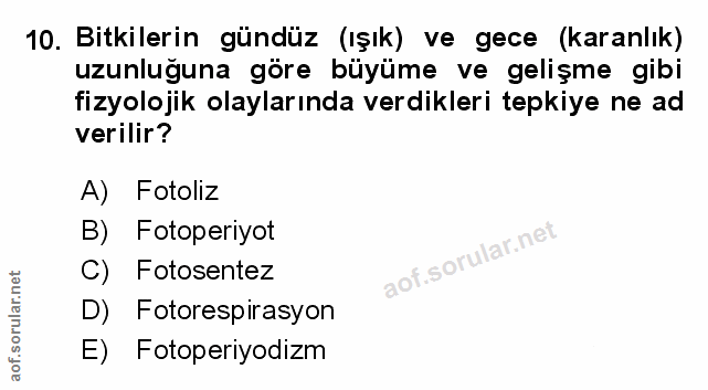 Soru 10