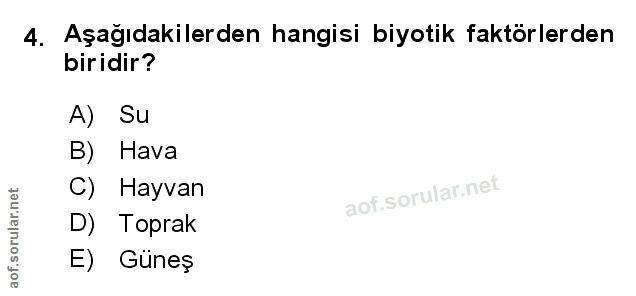 Soru 4