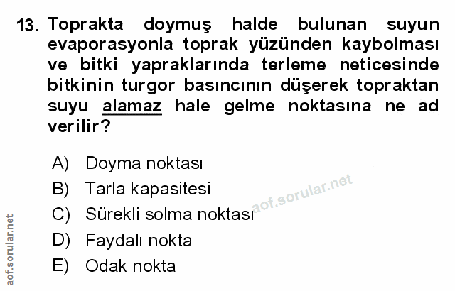 Soru 13