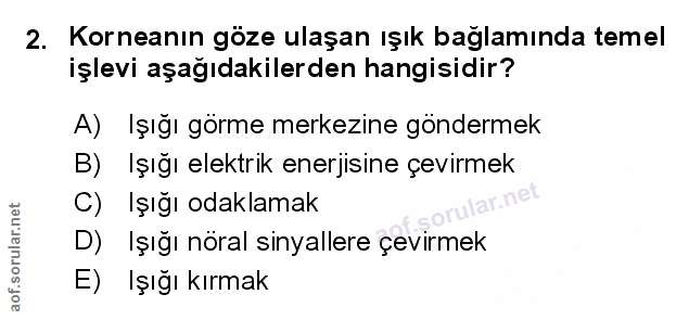 Soru 2