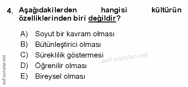 Soru 4