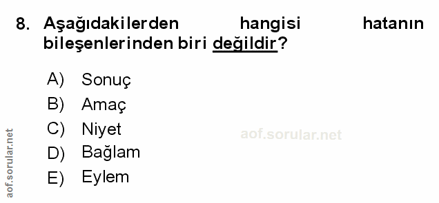 Soru 8
