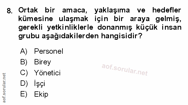 Soru 8
