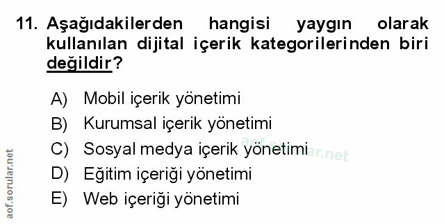 Soru 11