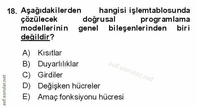 Soru 18