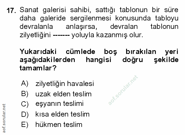 Soru 17