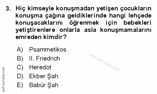 Soru 3