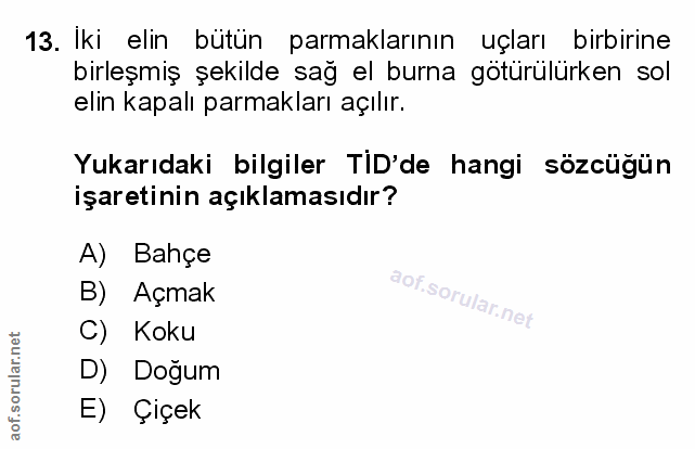 Soru 13