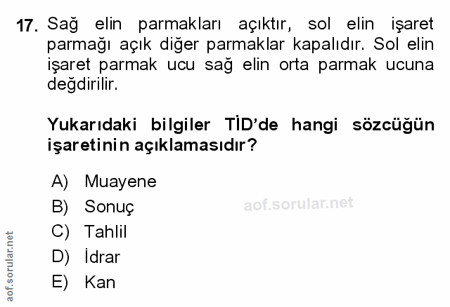 Soru 17