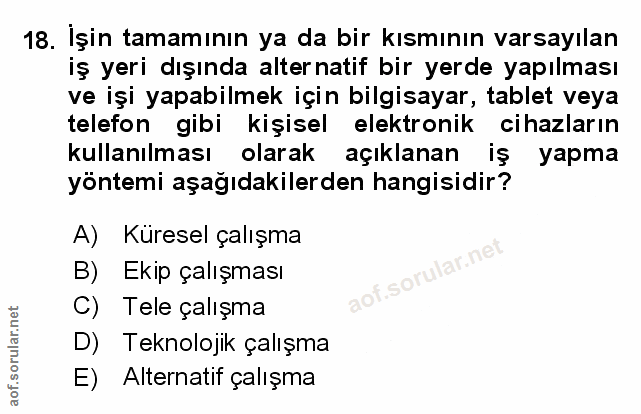 Soru 18