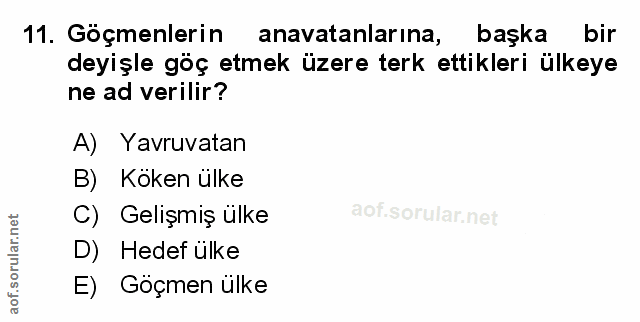 Soru 11