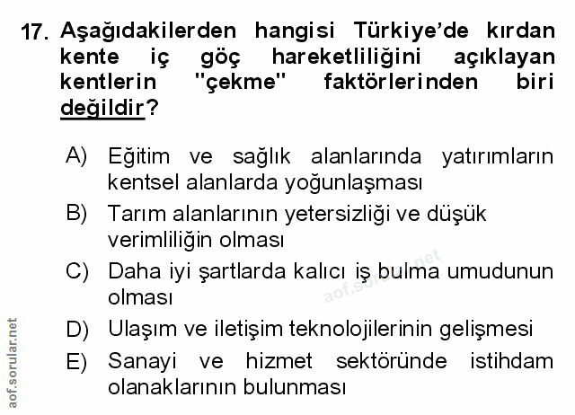 Soru 17