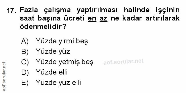 Soru 17