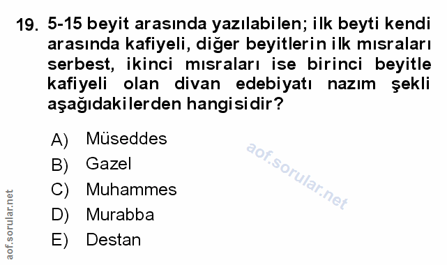 Soru 19