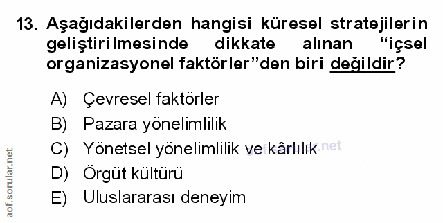 Soru 13