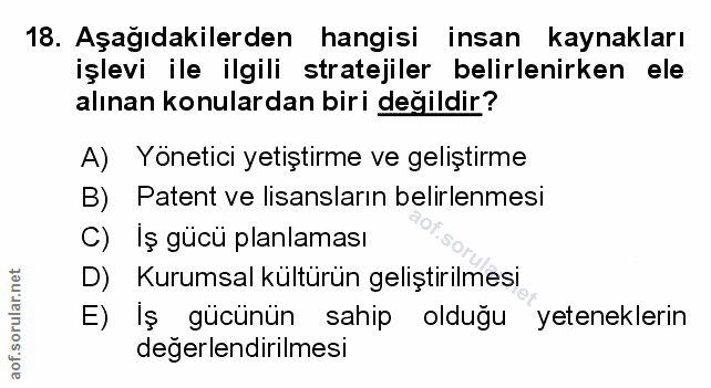Soru 18