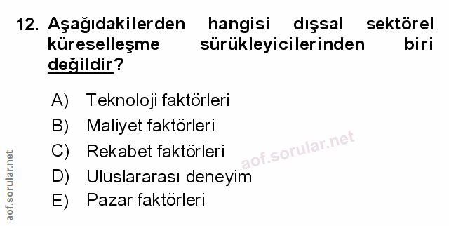 Soru 12