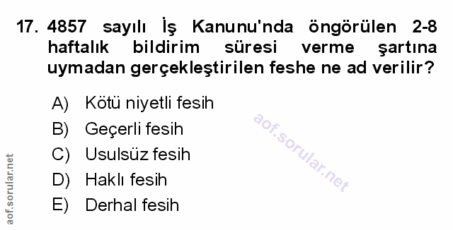 Soru 17