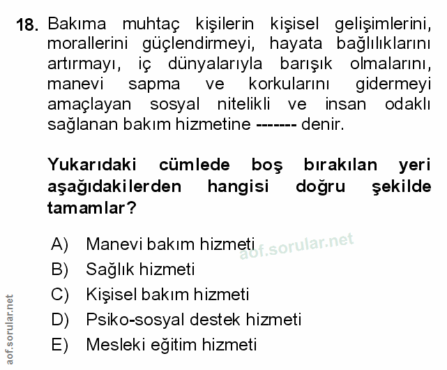 Soru 18
