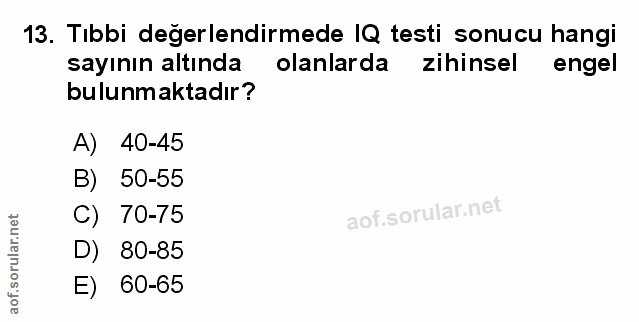 Soru 13