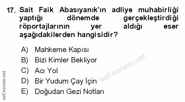 Soru 17