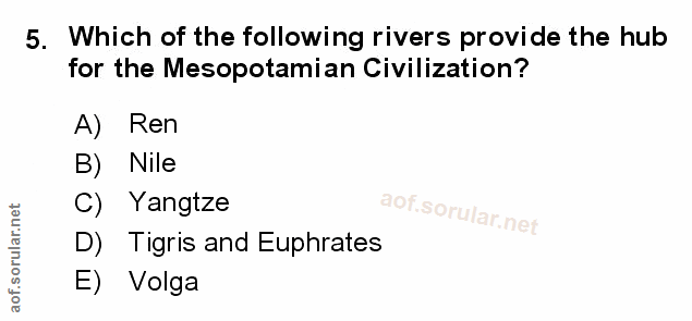 Soru 5