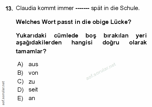Soru 13