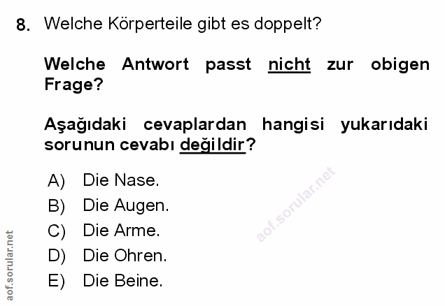 Soru 8