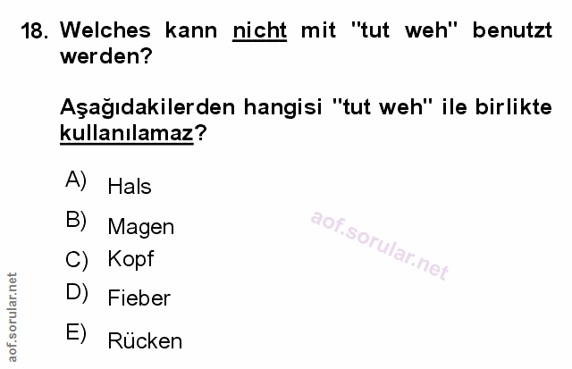 Soru 18