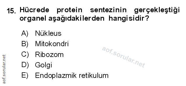 Soru 15