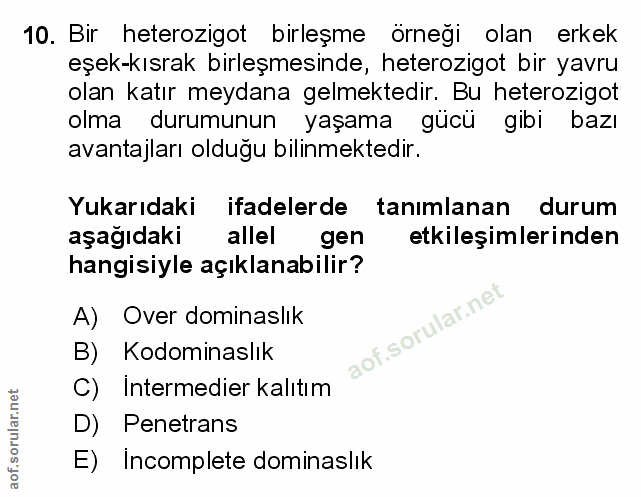 Soru 10