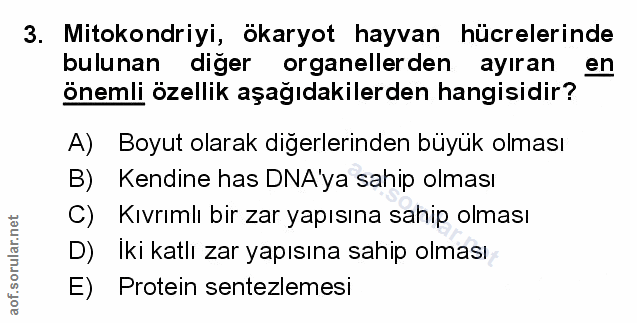 Soru 3