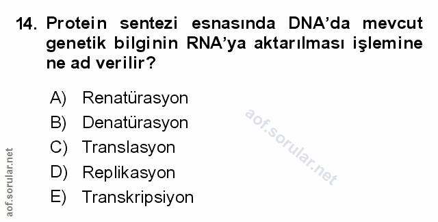 Soru 14