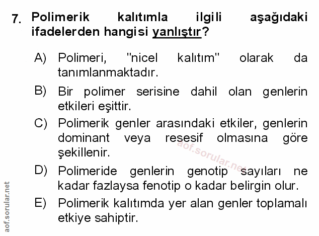 Soru 7