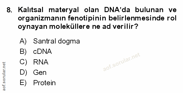 Soru 8