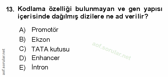 Soru 13