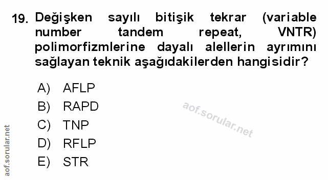 Soru 19