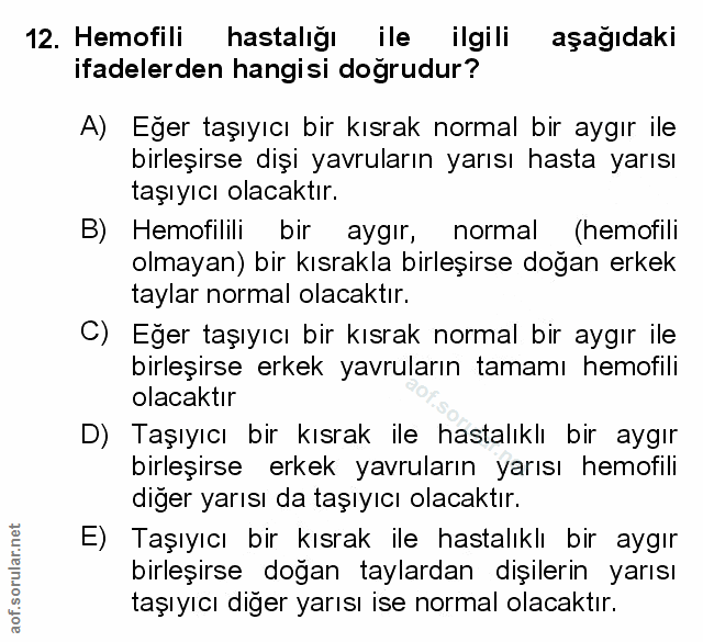 Soru 12