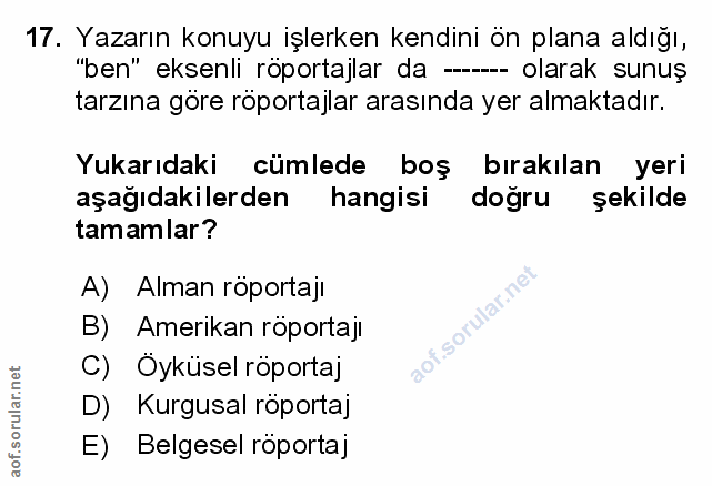 Soru 17