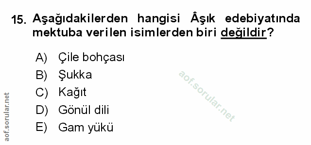 Soru 15